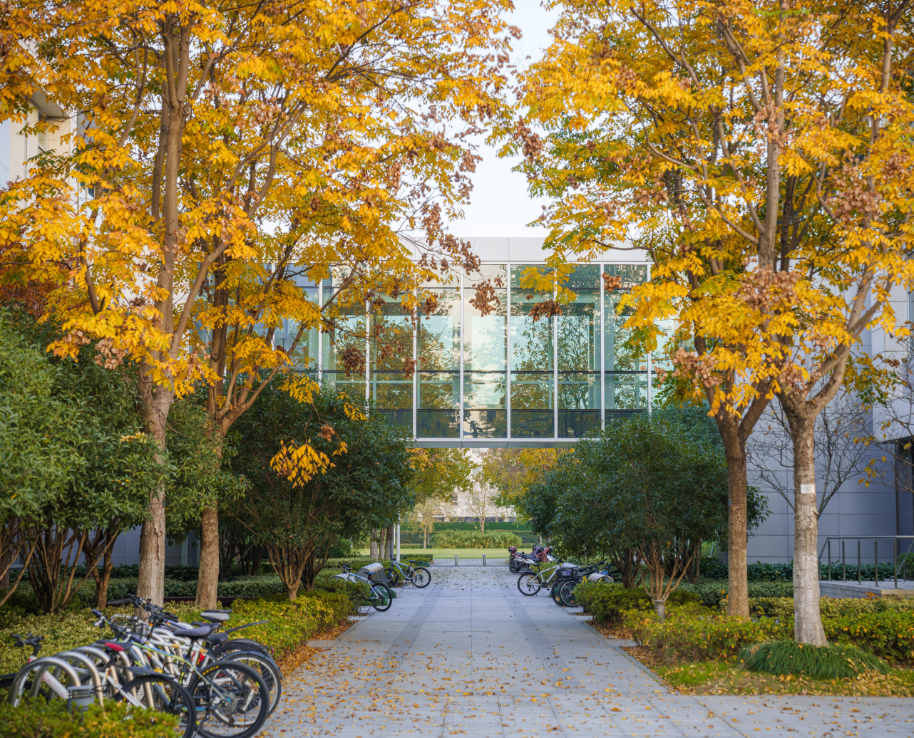 Workshop on Intelligent Gerontechnology for Accessible Living cover