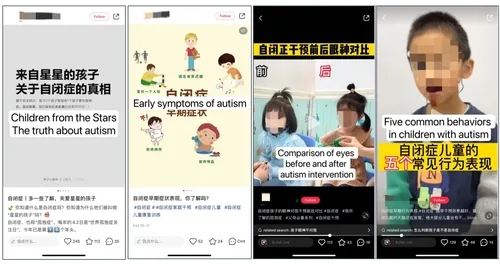 Teaser image of Exploring Engagement, Interaction, and Community-Building Among Content Creators and Viewers in RedNote’s Autism-Related Content