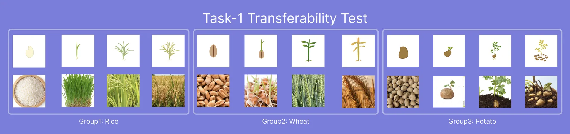 Pre/Post Study Test Materials - Cards