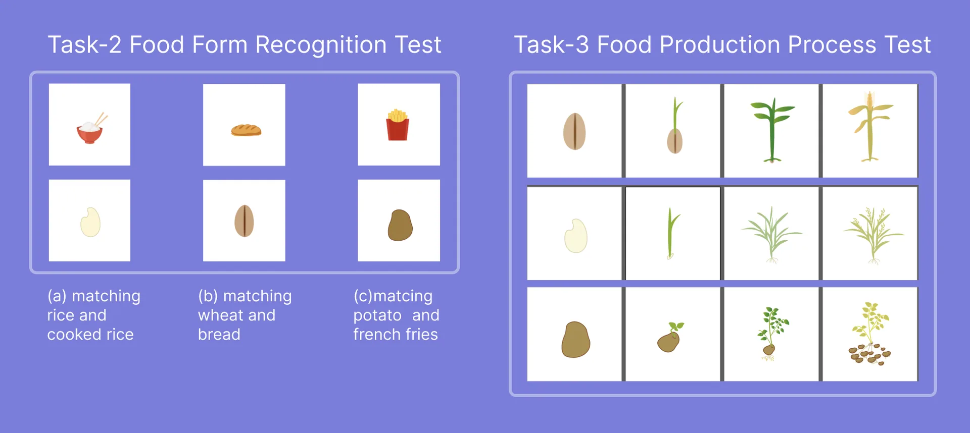 Pre/Post Study Test Materials - Food Recognition